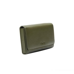 ESQUIRE Manikür-Etui olive